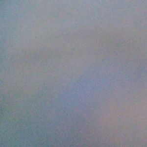 Meet your Posher, Bailey